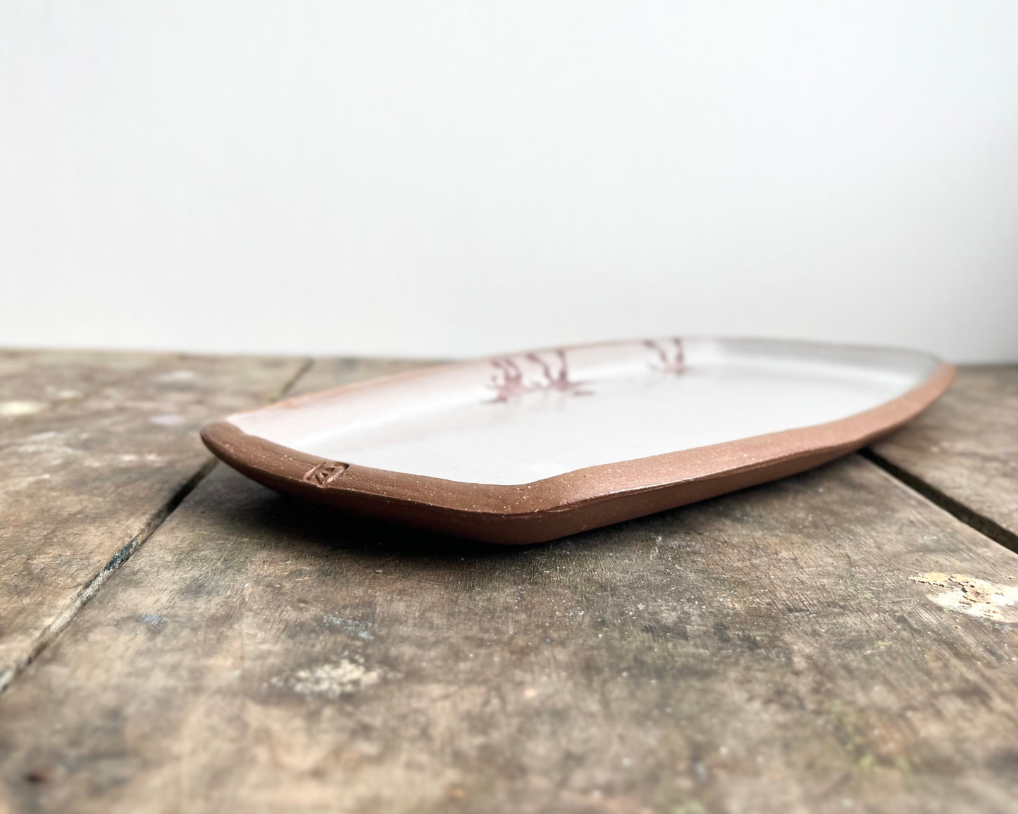 Velociraptor Pack medium Rectangle Plate