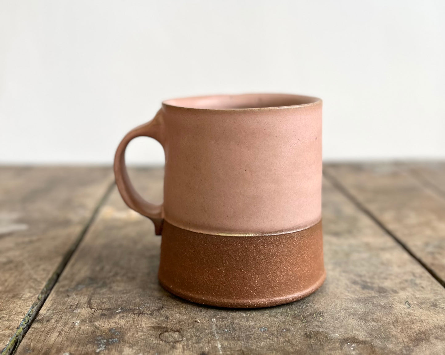 Gold Stegosaurus Americano Mug - pink matte