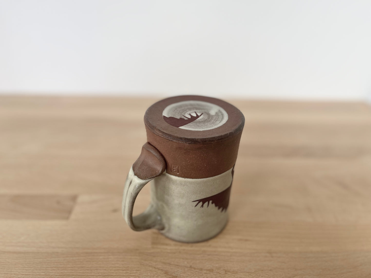 Stegosaurus Mug - matte grey