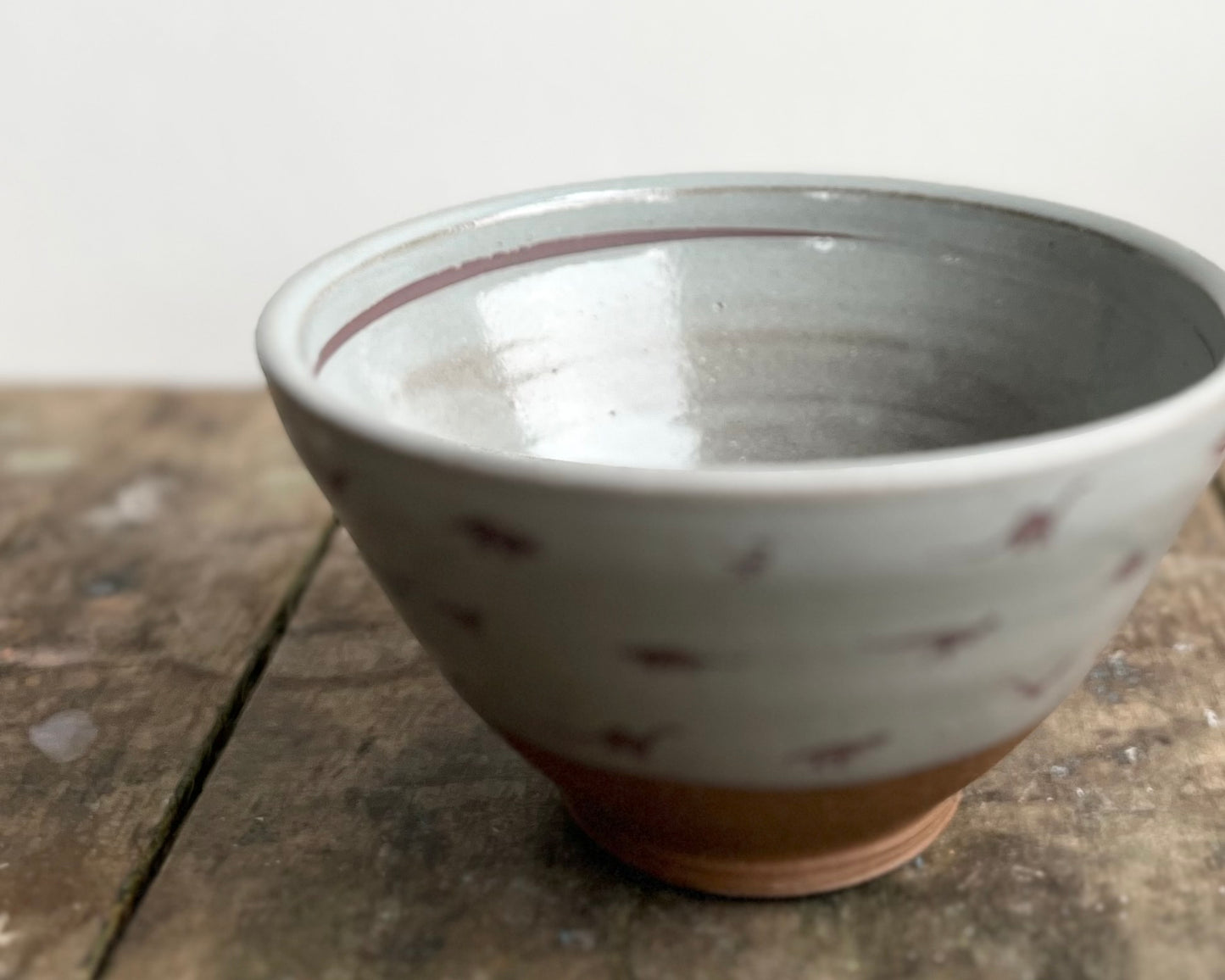 Bowl with Small Dinosaurs - blue