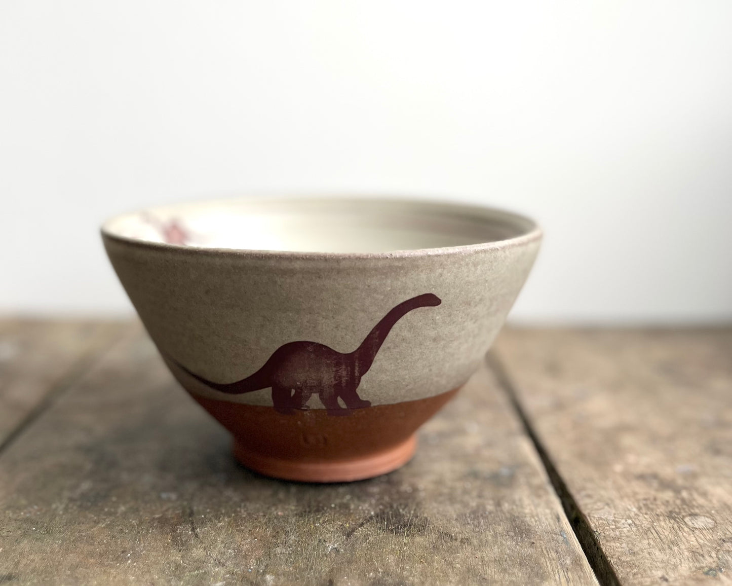 Diplodocus Bowl