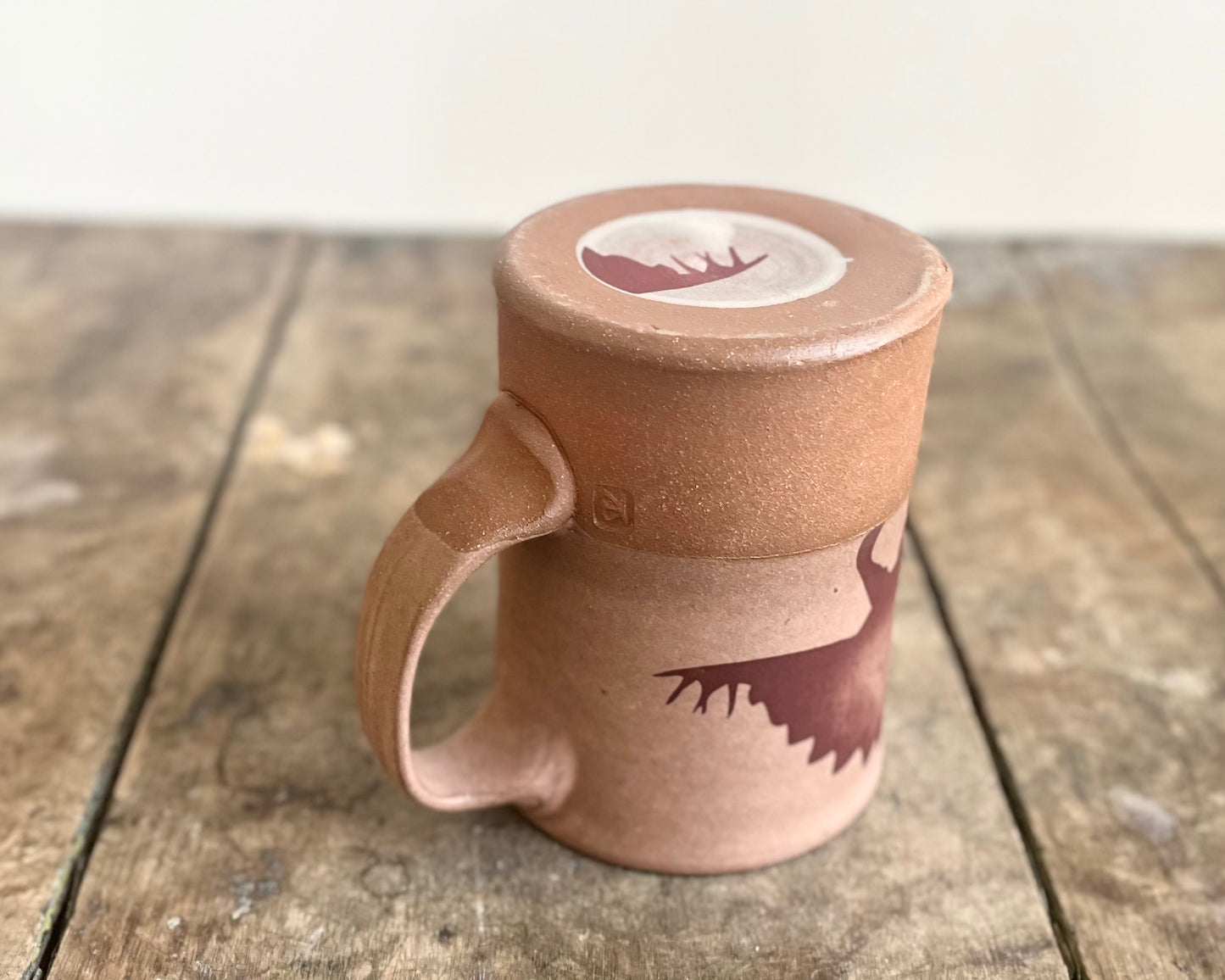 Stegosaurus Mug - pink matte