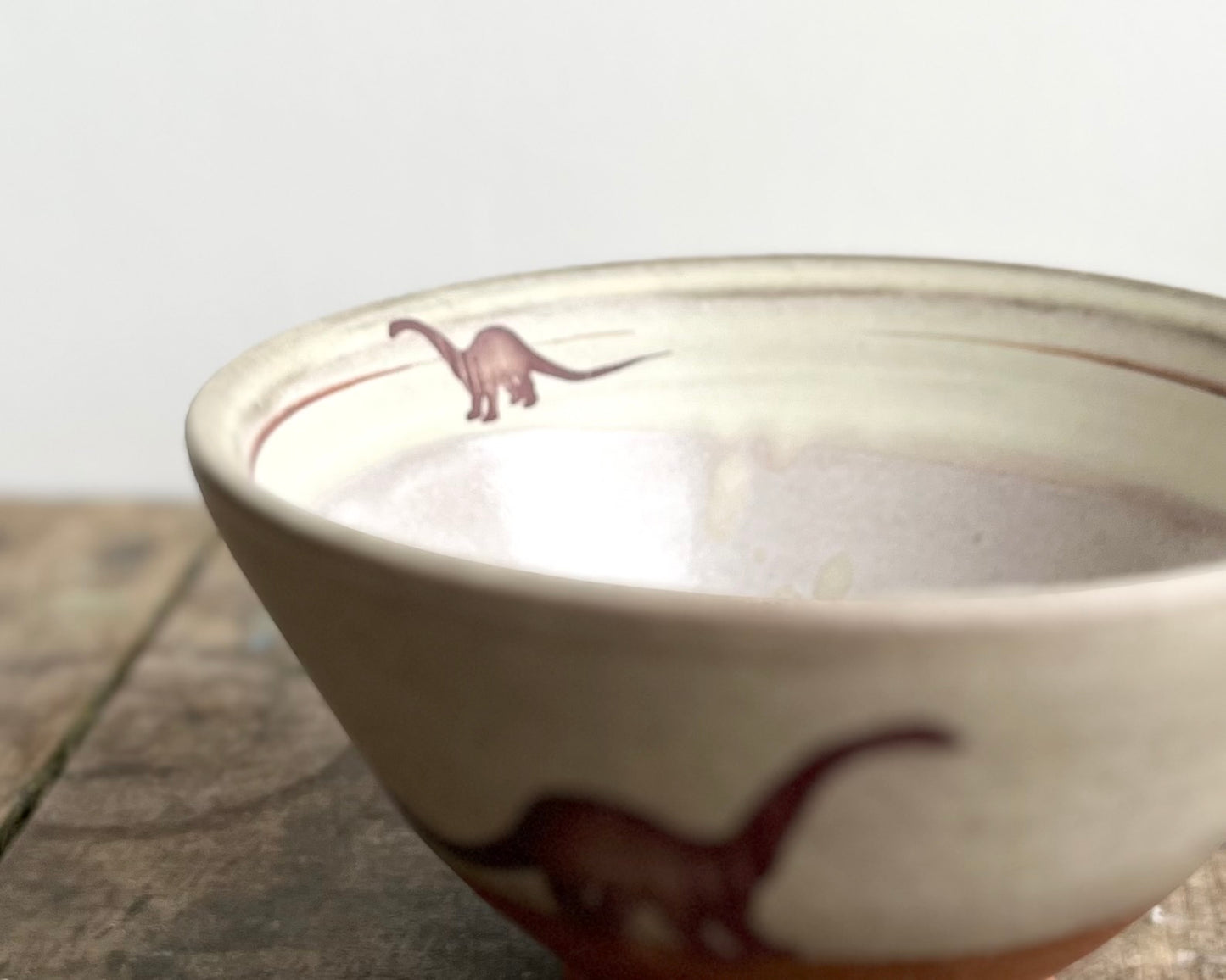 Diplodocus Bowl