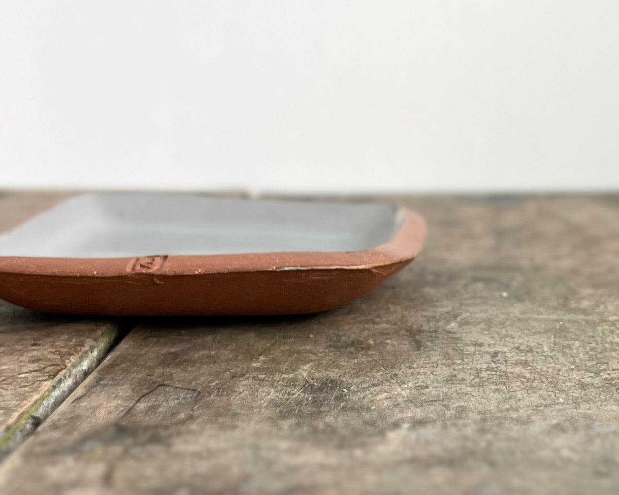 Velociraptor Small Squared Dish - blue