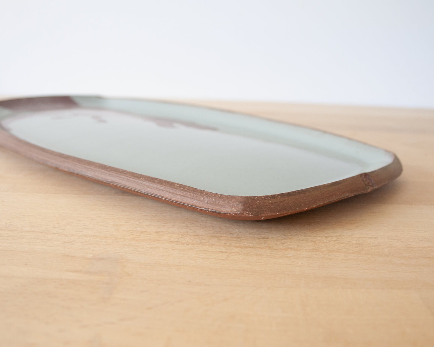 T-Rex Large Rectangle Plate - blue