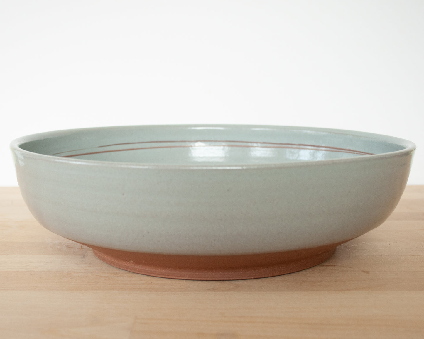 Velociraptor Pack Serving Bowl