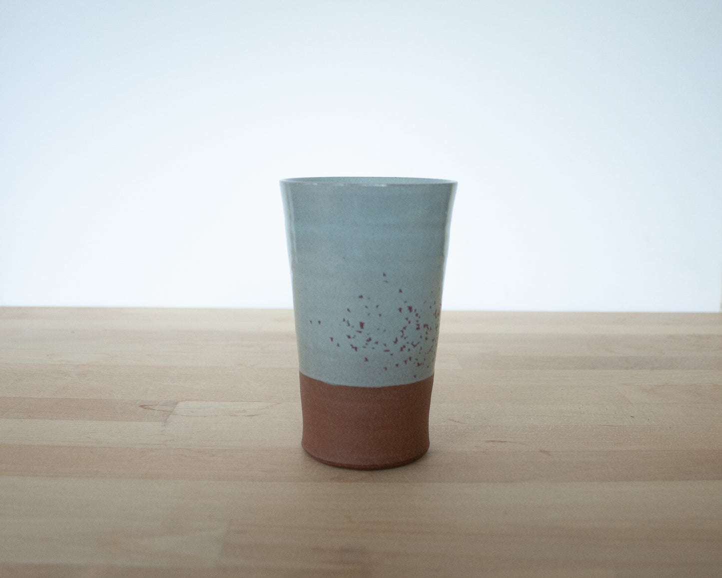 Flock of Birds Tumbler - blue