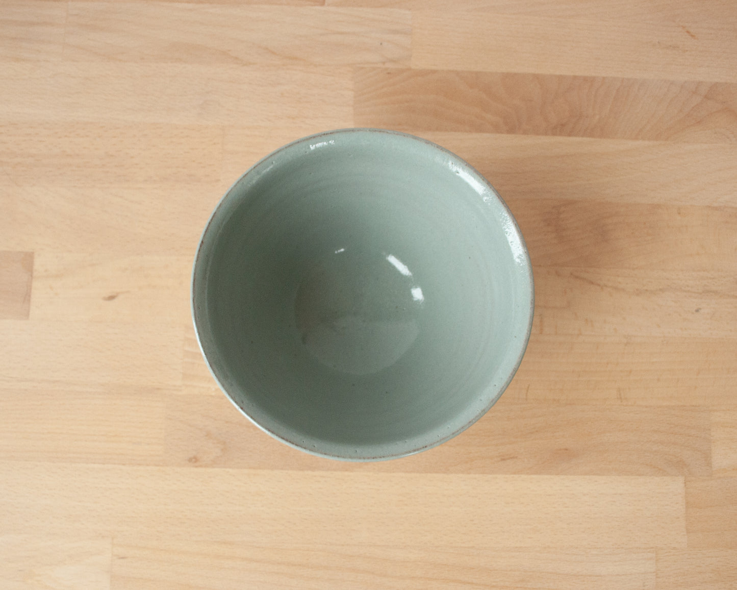 Diplodocus Bowl - blue