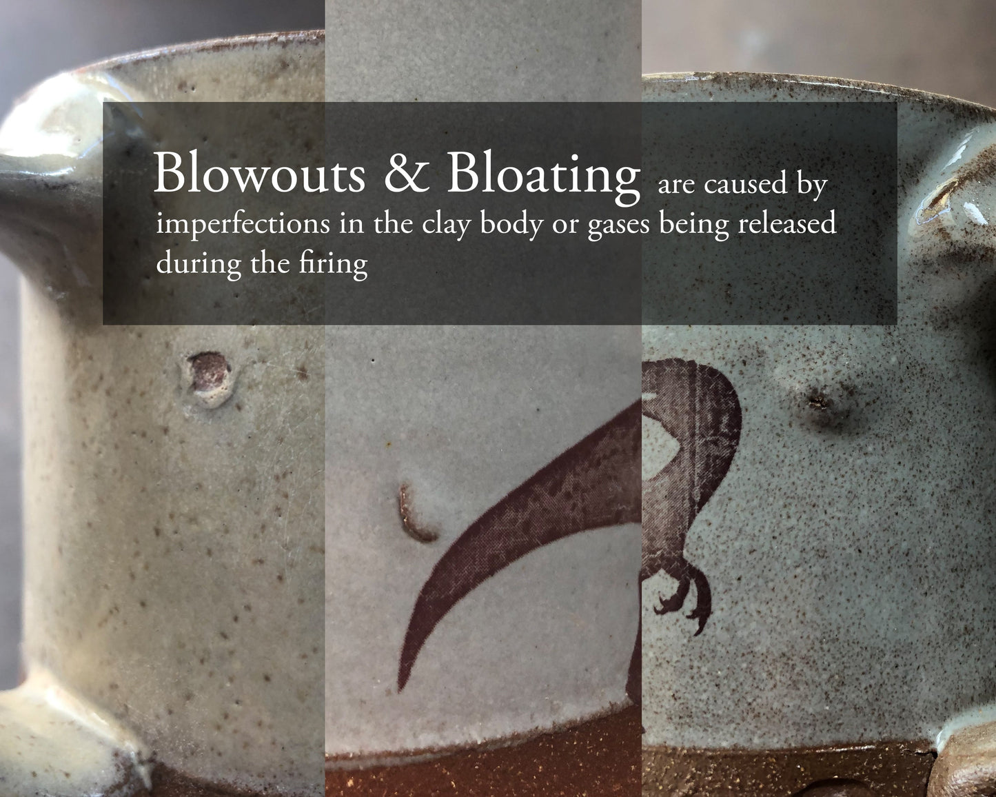 Flora & Fauna Box of Mystery - $60