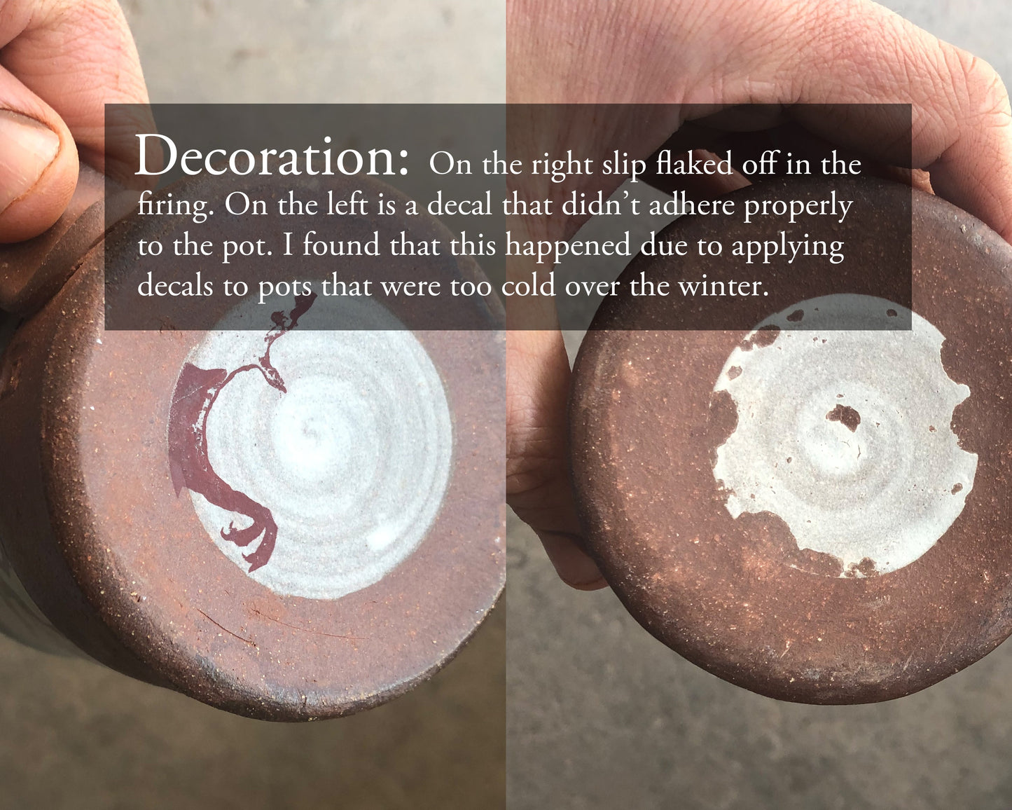 Flora & Fauna Box of Mystery - $60