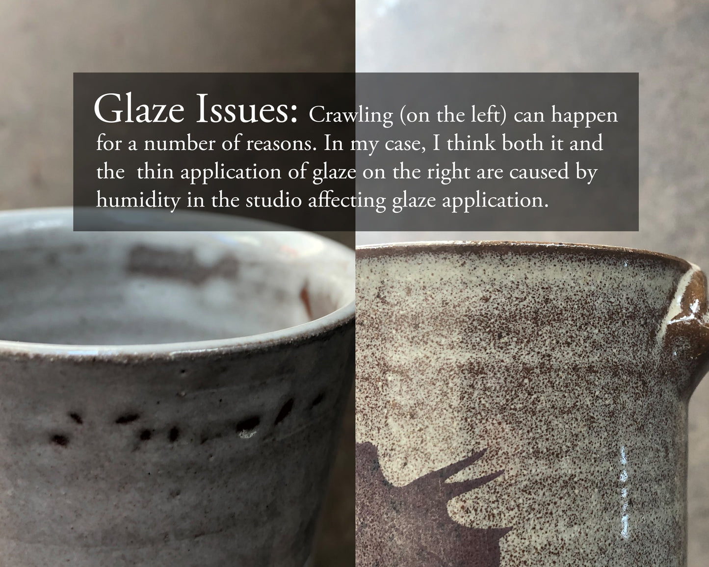 Flora & Fauna Box of Mystery - $60