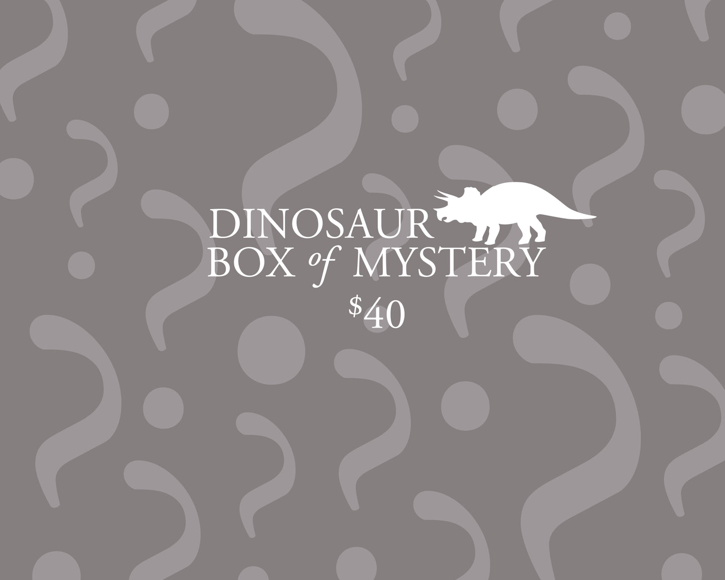 Dinosaur Box of Mystery - $40