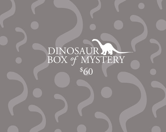 Dinosaur Box of Mystery - $60