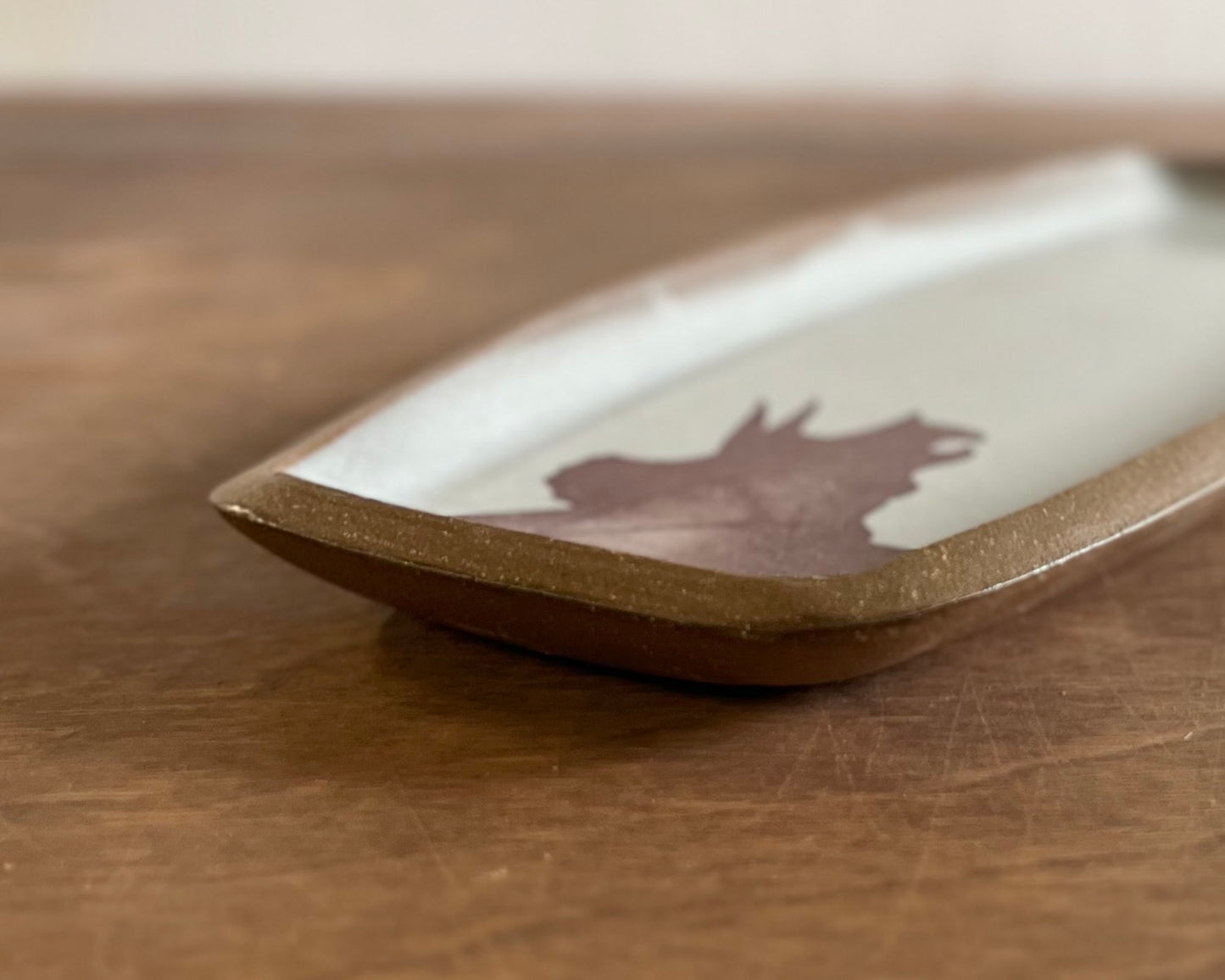 Triceratops small Rectangle Plate - white