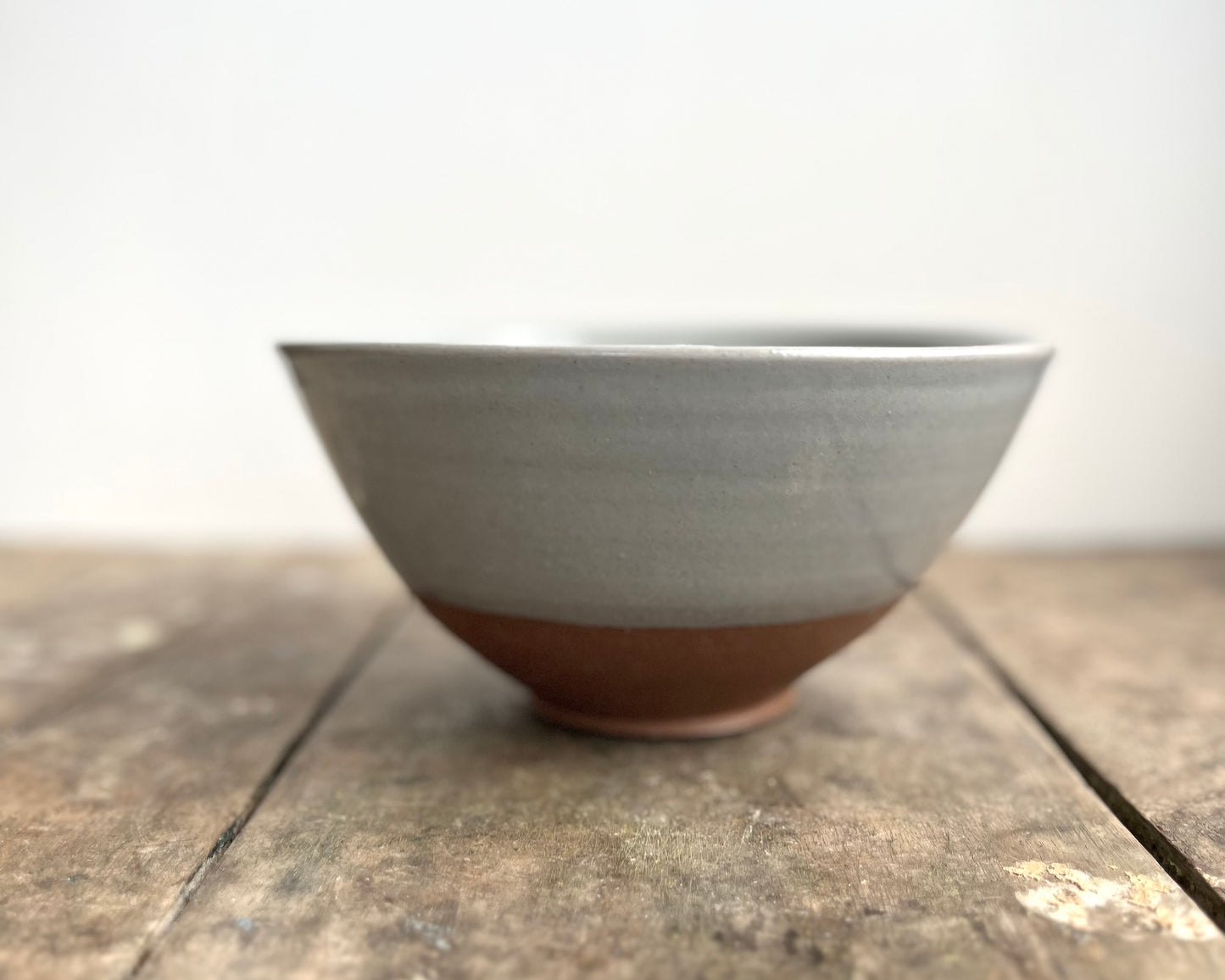 Parasaurolophus Noodle Bowl - blue