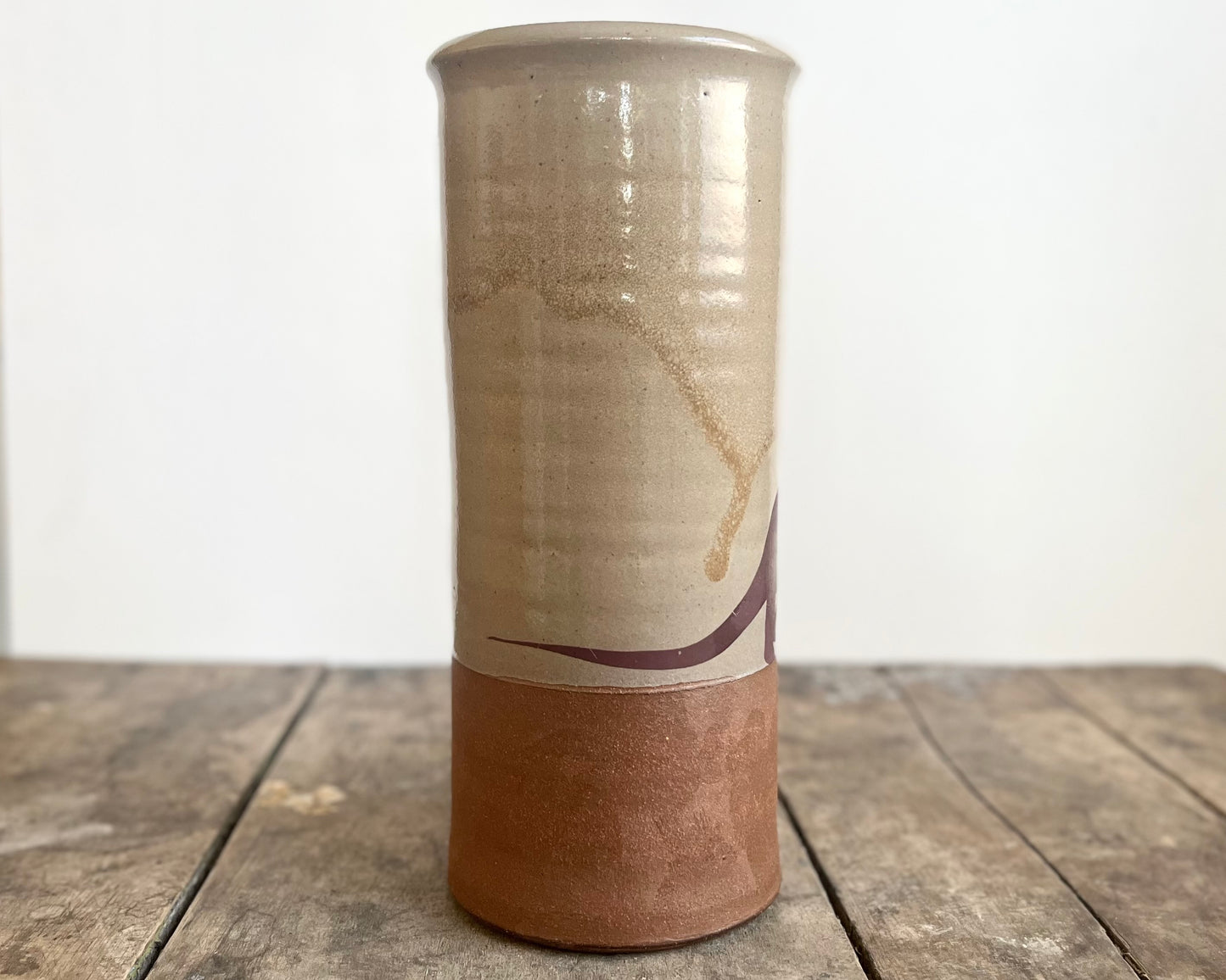 Cylindrical Vase with diplodocus