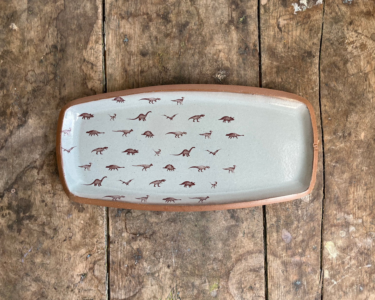 Dino Pattern medium Rectangle Plate - blue