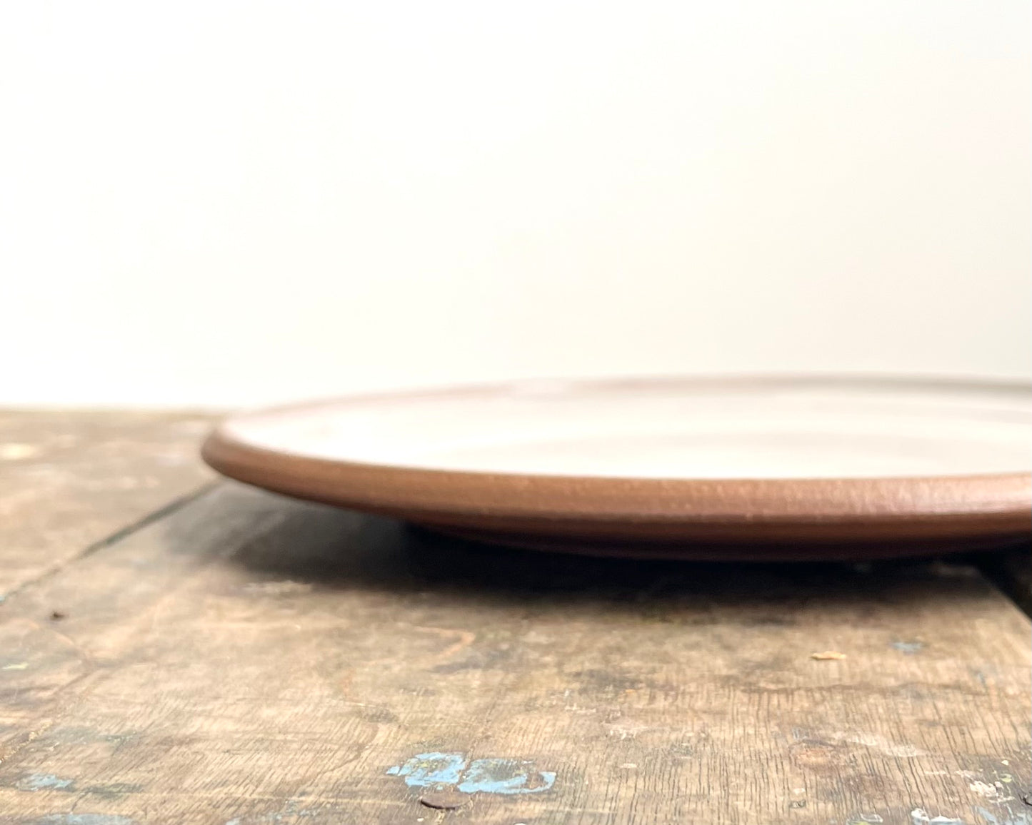 Stegosaurus Dinner Plate - white