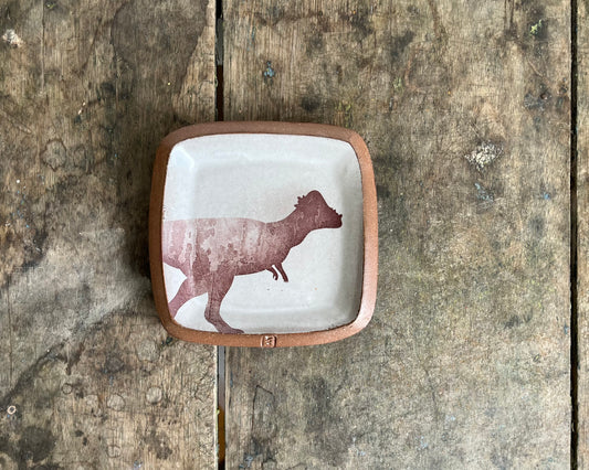 Pachycephalosaurus Small Squared Dish - white