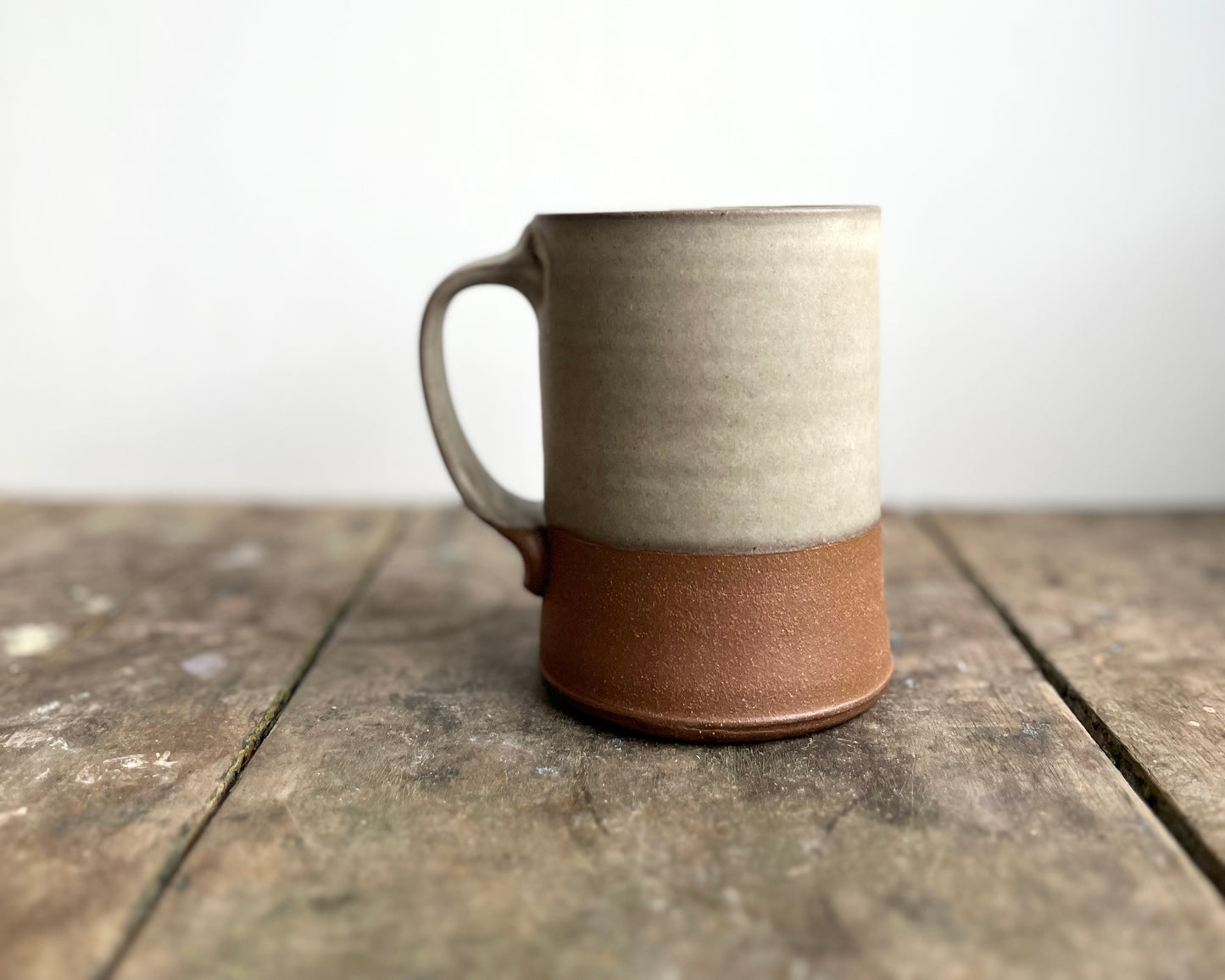 Parasauropholus Mug