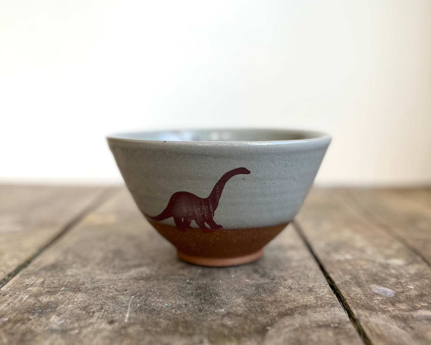 Diplodocus Bowl - blue
