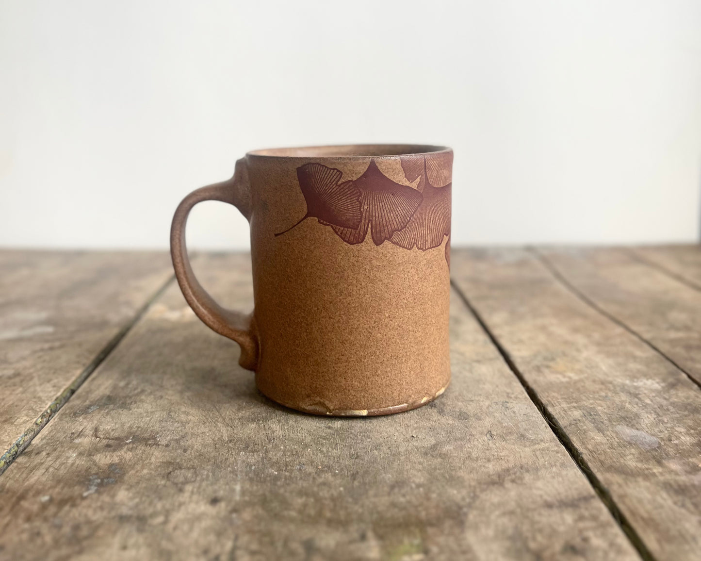 Gold Stegosaurus and Ginkgo Mug - Matte Brown