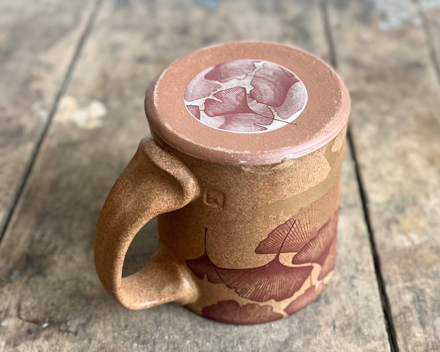 Gold Stegosaurus and Ginkgo Mug - Matte Brown