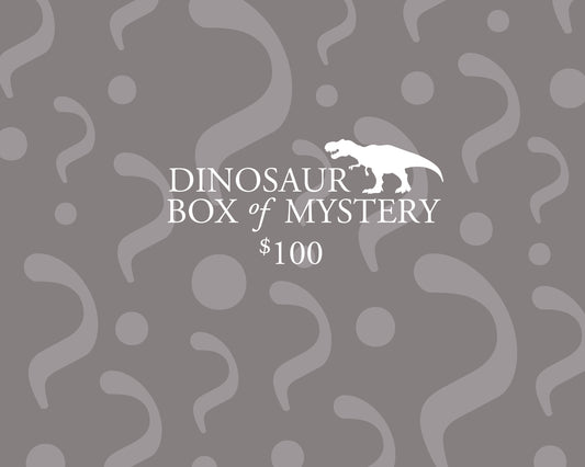 Dinosaur Box of Mystery - $100