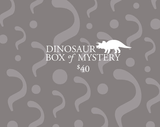 Dinosaur Box of Mystery  - $40